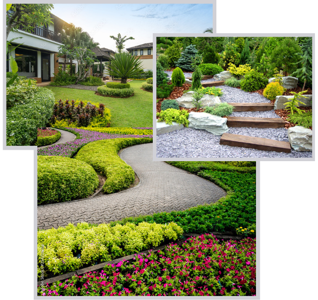 our_services_photo