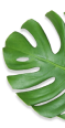 bg_right_top