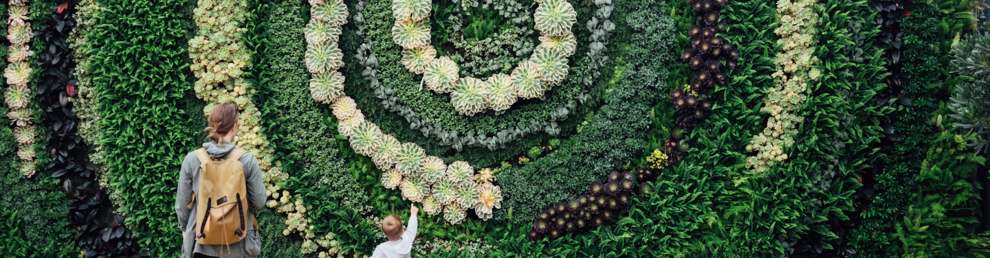 green walls bg