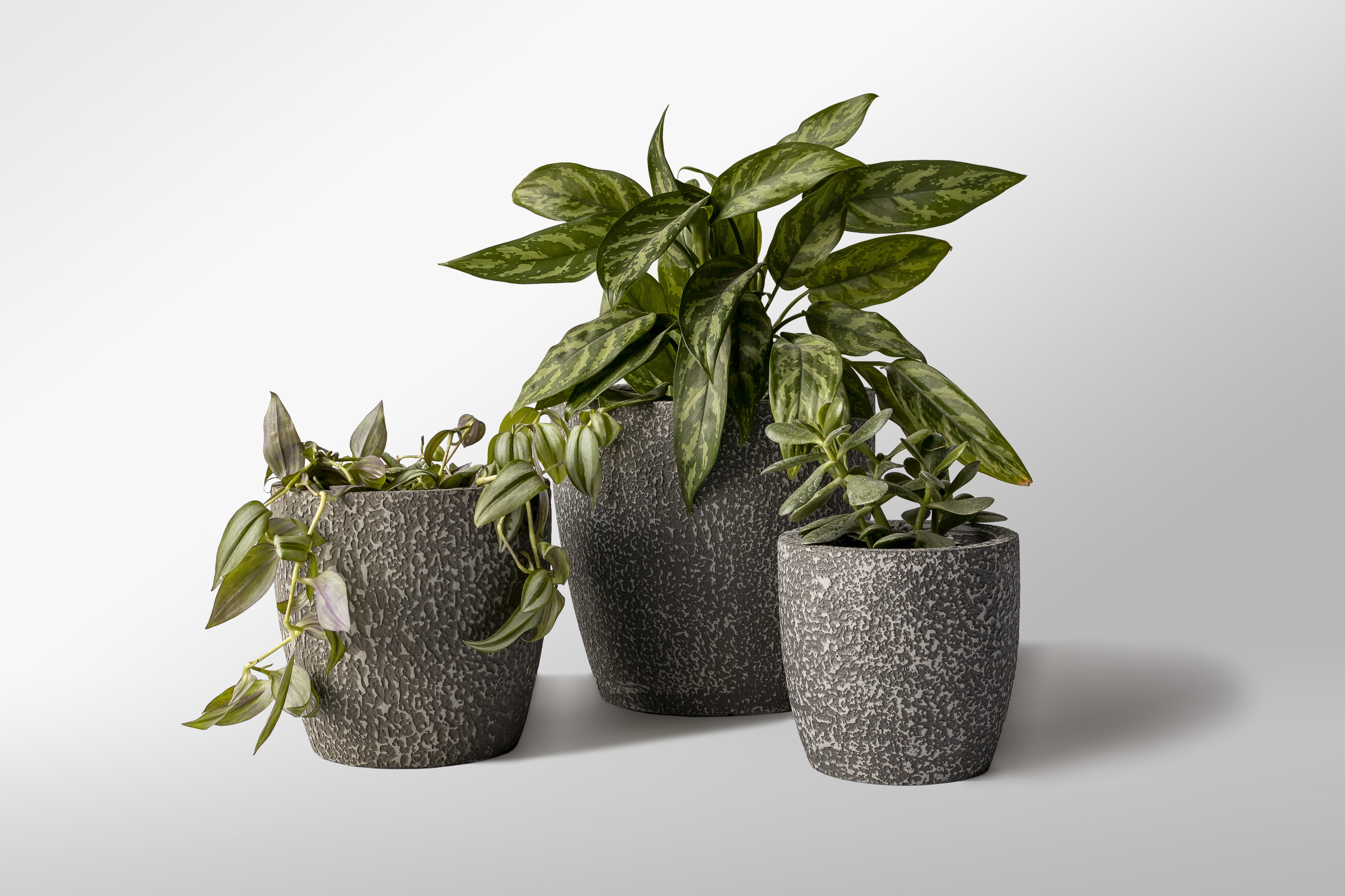 outdoor vases image