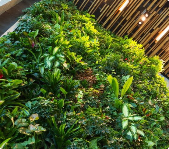 green_walls_inf_sec