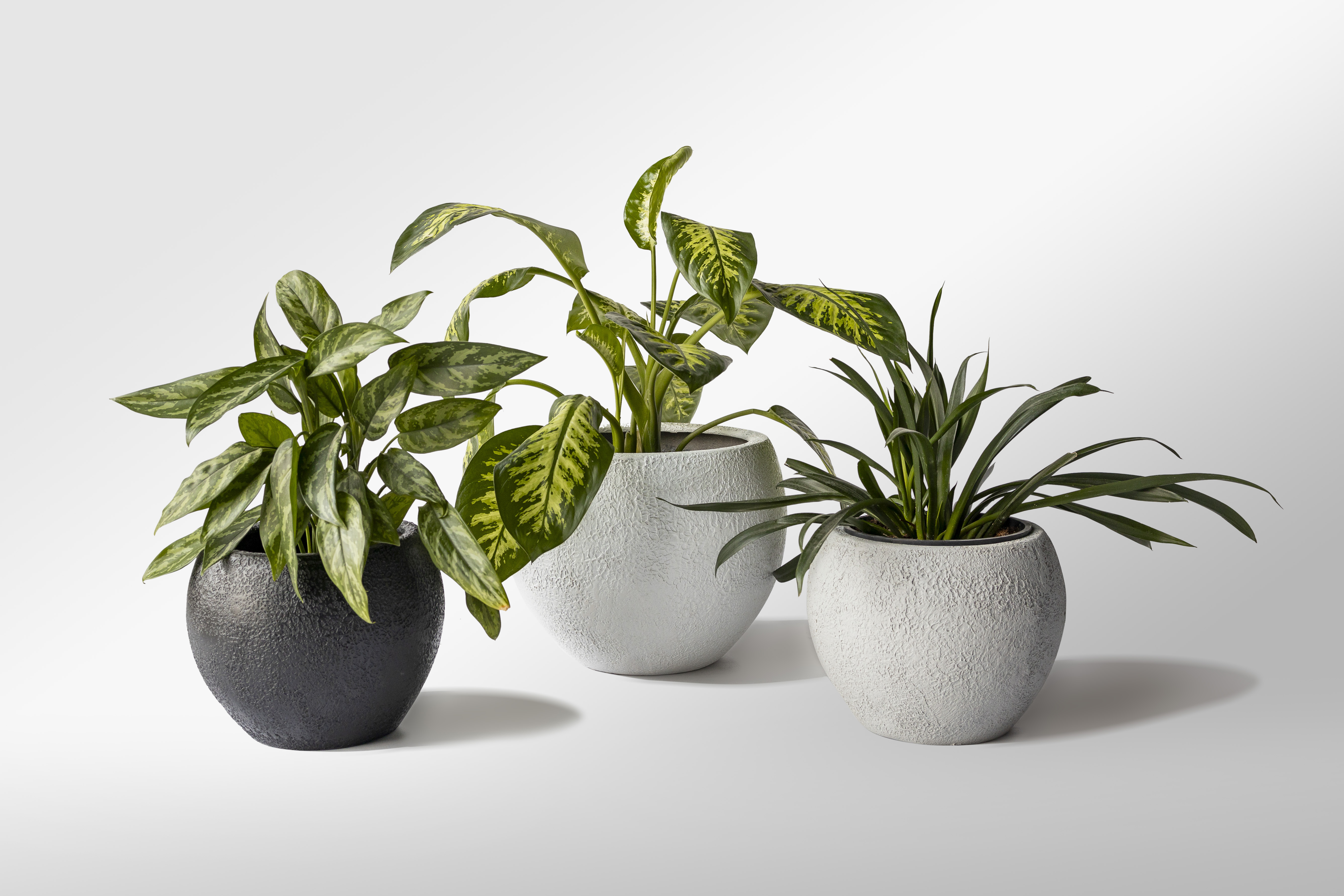 outdoor vases image