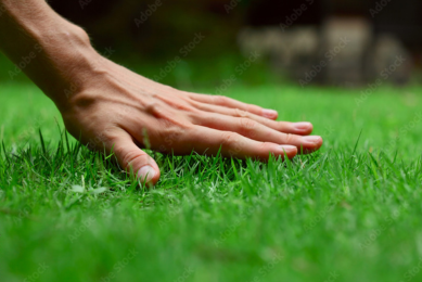 lawns block photo