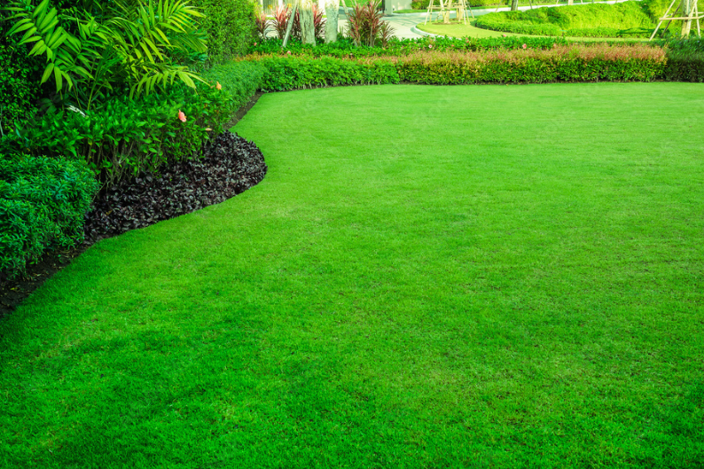 lawns block photo