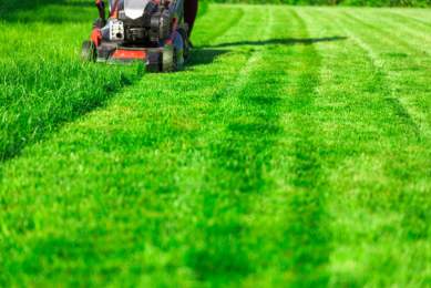 lawns block photo